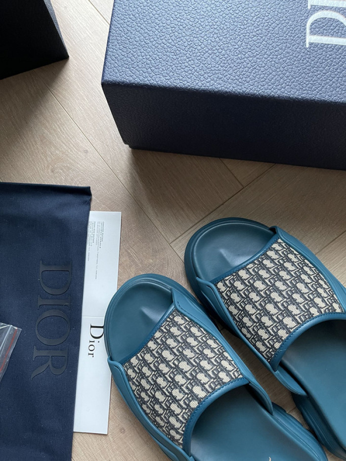 D1R* SLIDE copshoe  DR-SLIDE 007