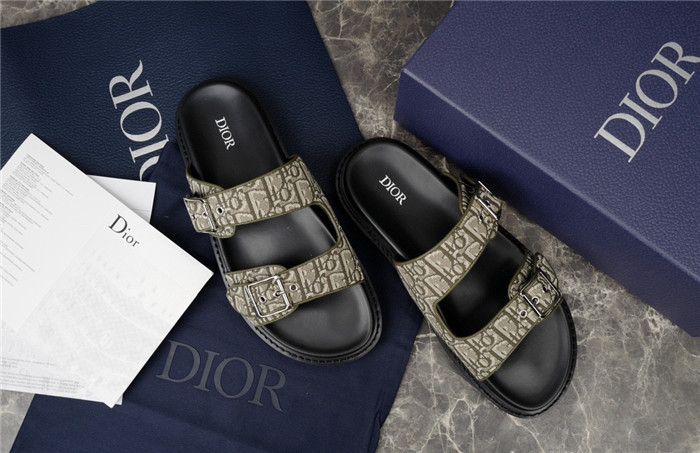 D1R* SLIDE copshoe  DR-241