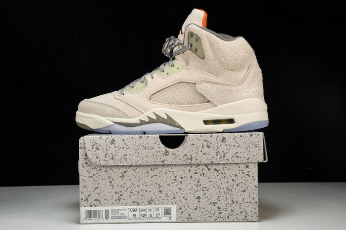 Air Jordan 5 Retro SE