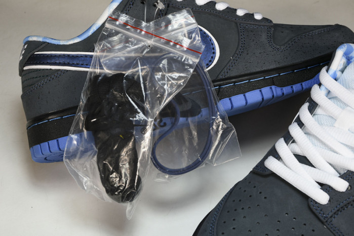 Dunk Low Premium SB