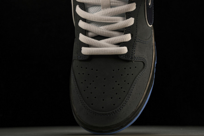 Dunk Low Premium SB